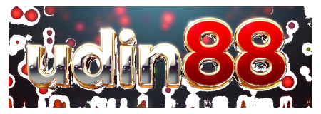 udin 88 logo